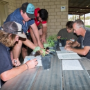 How to get the most from your spraying program