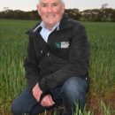 Crop variety data released to inform 2020 sowing programs
