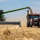 GRDC harvester forums to help growers reduce grain losses